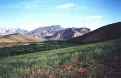 De lange bjergrygge i Zagros bjergene veksler med grønne og frodige dalgange